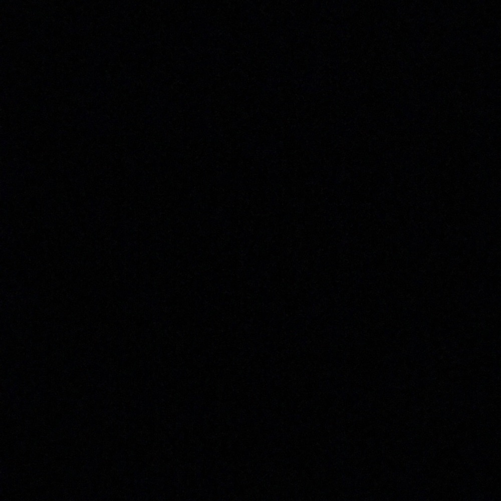 Meet your Posher, Dylan