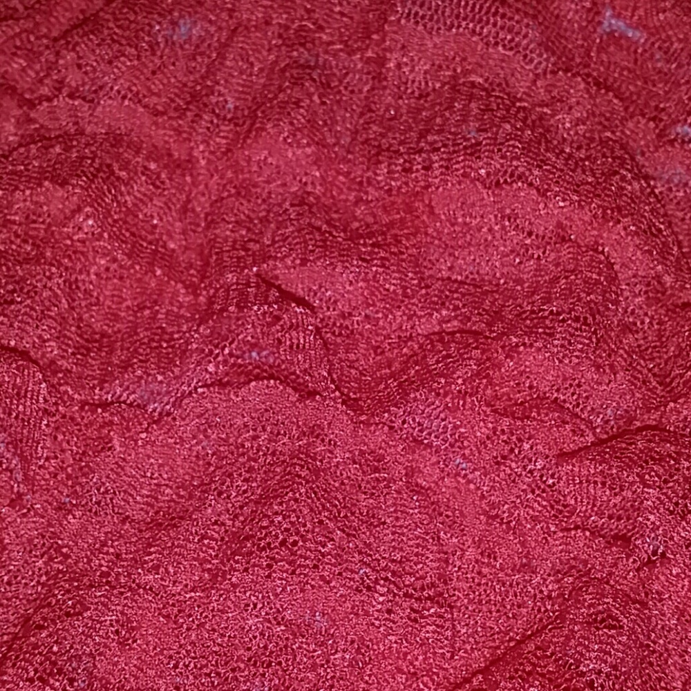 BEAUTIFUL LACE BOY SHORTS - Picture 3 of 4