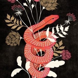 Meet your Posher, Diego