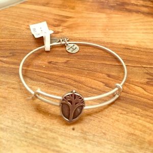 Alex and Ani bangle. Unexpected Miracles.