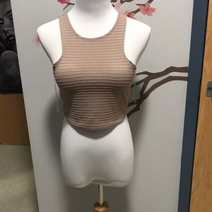 NWT Charlotte Russe Crop Top