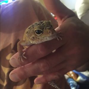 Meet your Posher, Mary