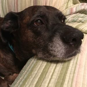 Meet your Posher, Robin