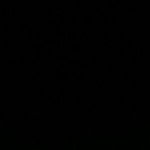 Meet your Posher, Taylen