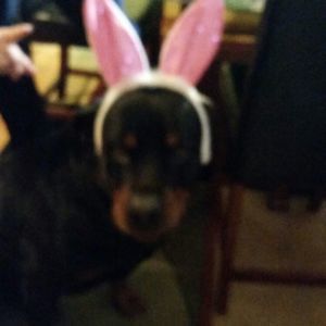 Meet your Posher, Kim