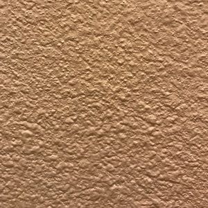 Meet your Posher, Caitie