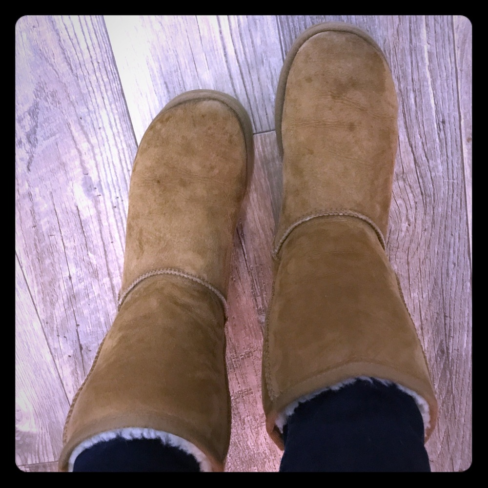 UGG Australia Classic Short Chestnut Size 8