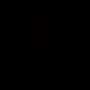 Meet your Posher, Bob