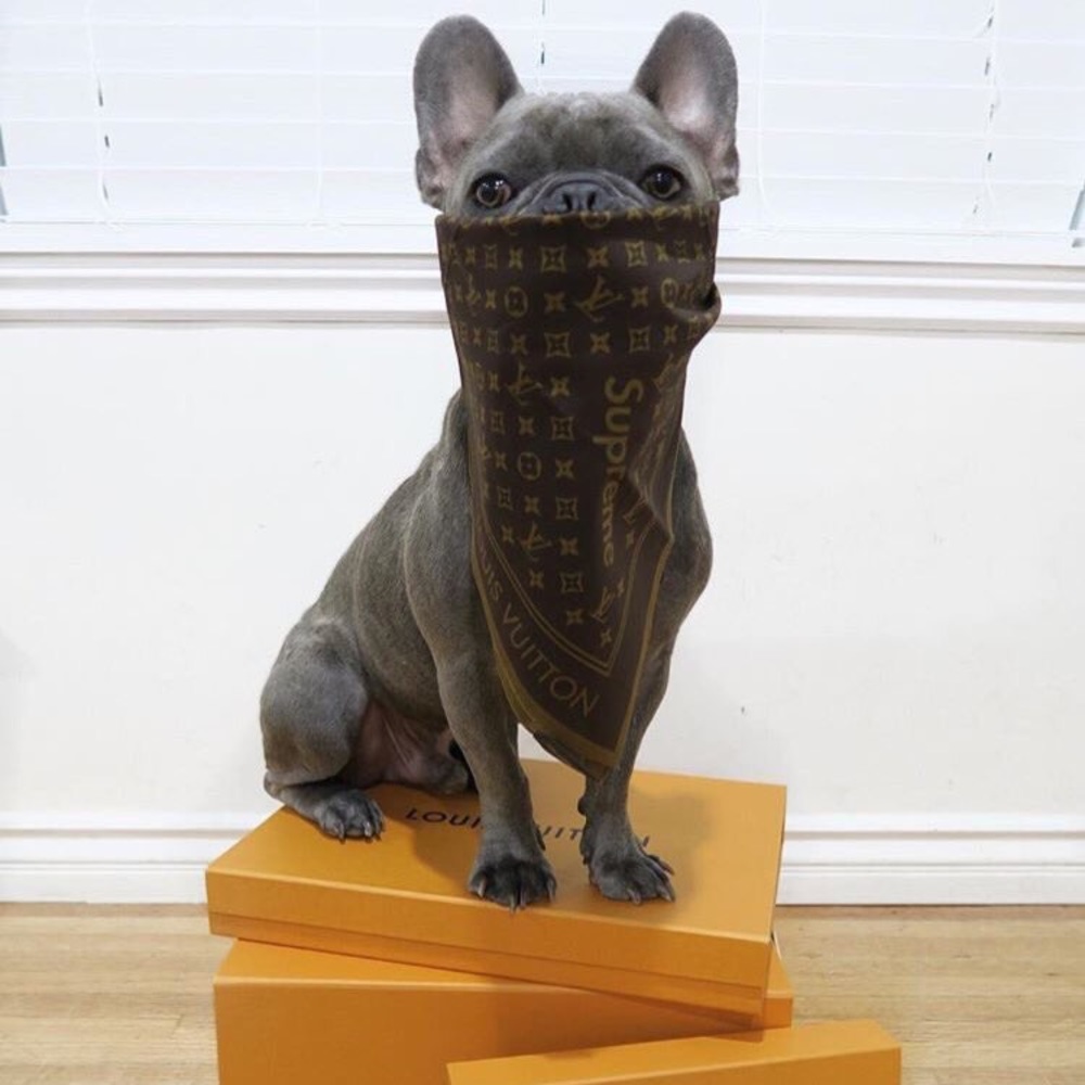 Meet your Posher, Connor