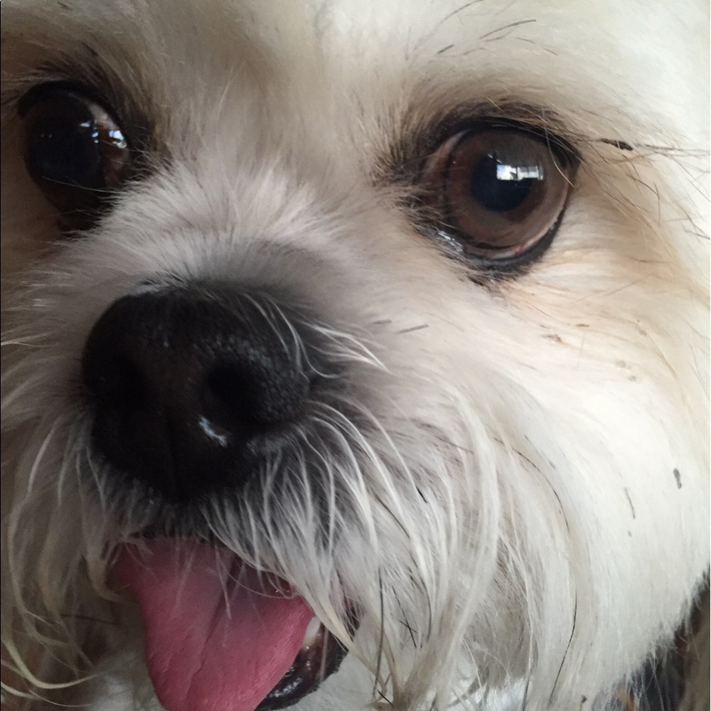 Meet your Posher, Flo