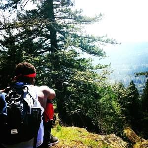 Meet your Posher, Roy