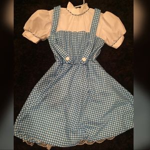 Wizard of Oz Dorothy costume. Gently used.