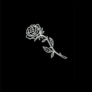 Meet your Posher, Giovani