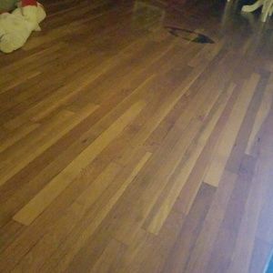 Meet your Posher, Bernadette