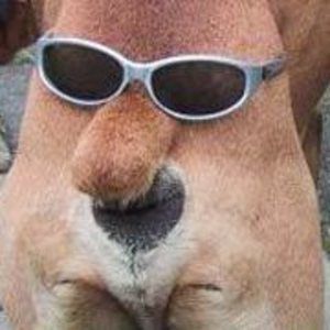 Meet your Posher, Lukas