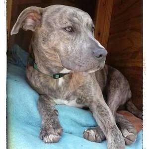 Meet your Posher, April