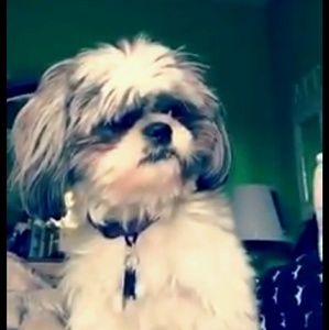 Meet your Posher, Nayeli