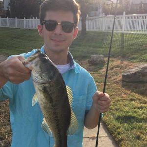 Meet your Posher, Josh