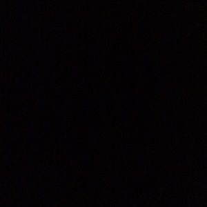 Meet your Posher, Suheyla