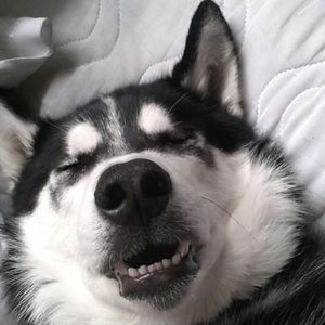 Meet your Posher, Kai