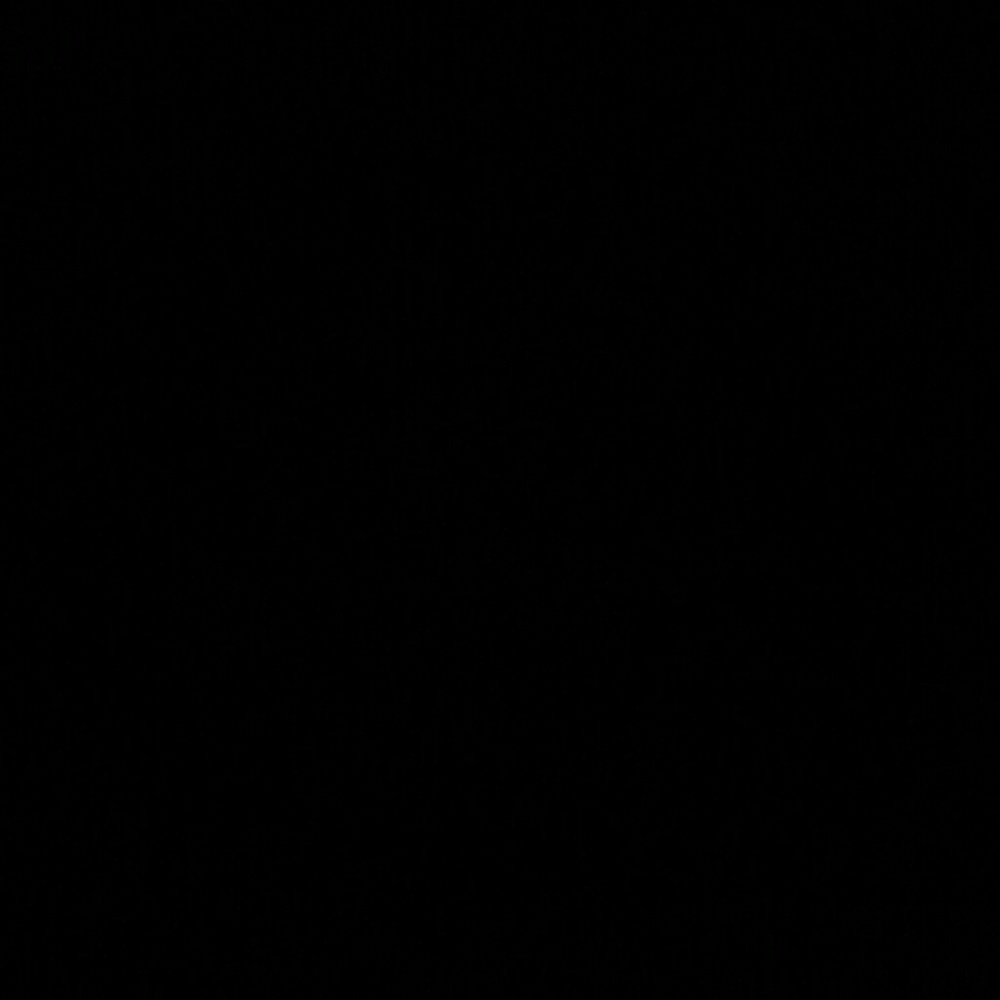 Meet your Posher, Daryl