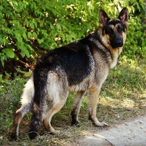 Meet your Posher, Katrina