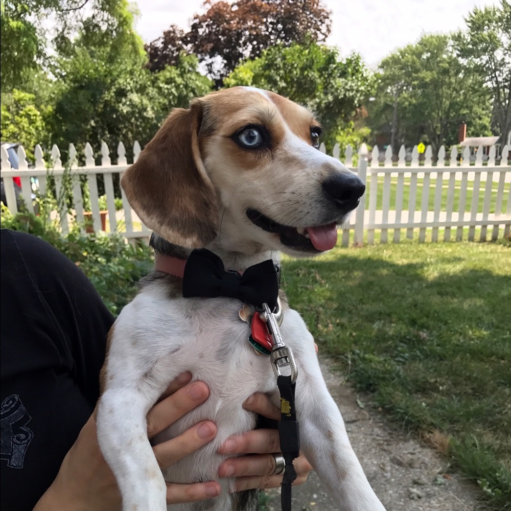 Meet your Posher, Rebecca