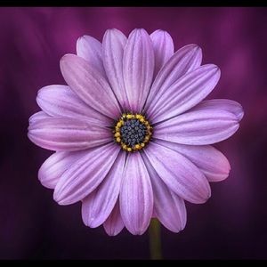 Meet your Posher, Jaclyn