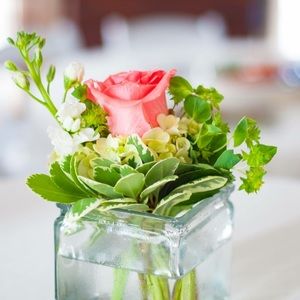 Meet your Posher, Judy