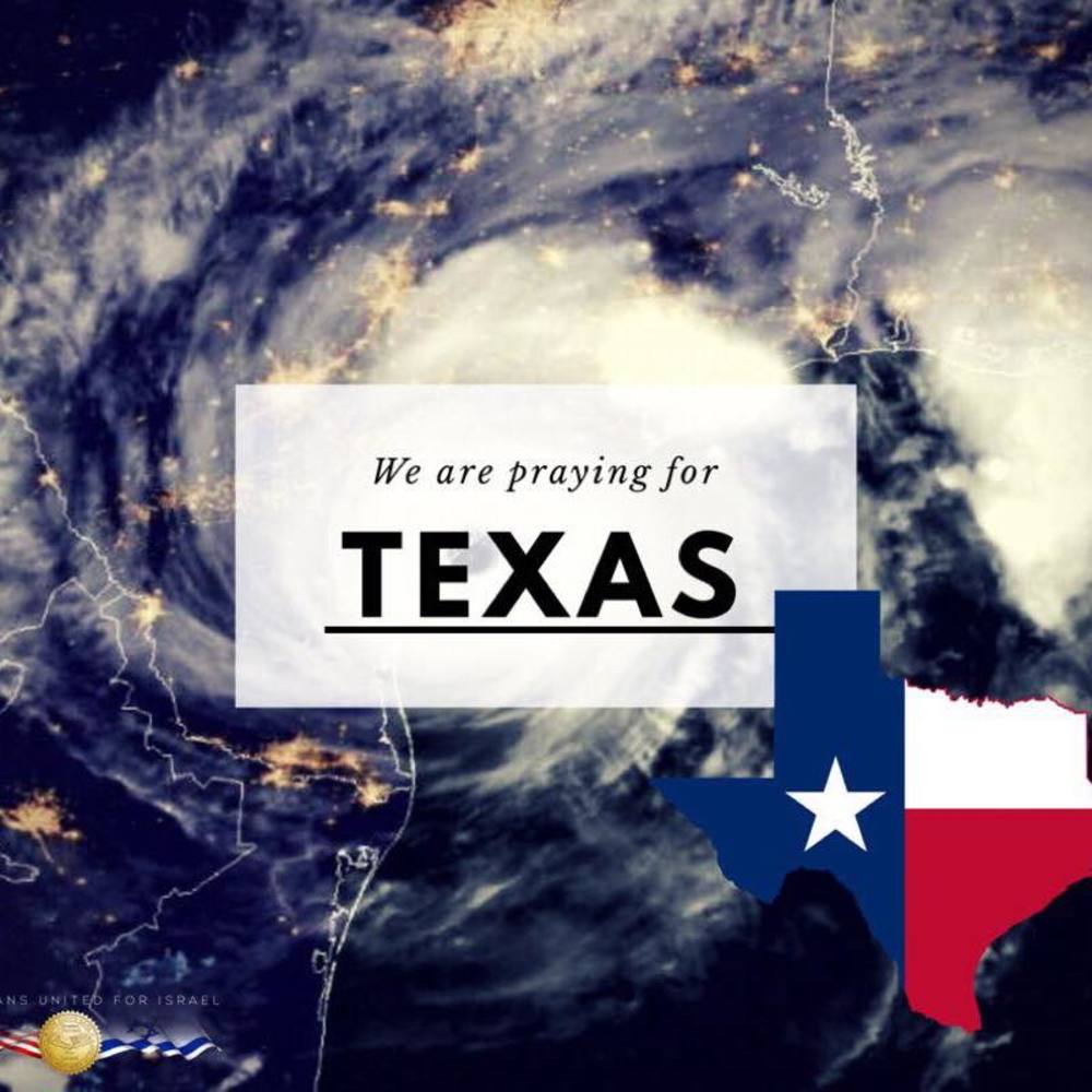 Meet your Posher, Shanna