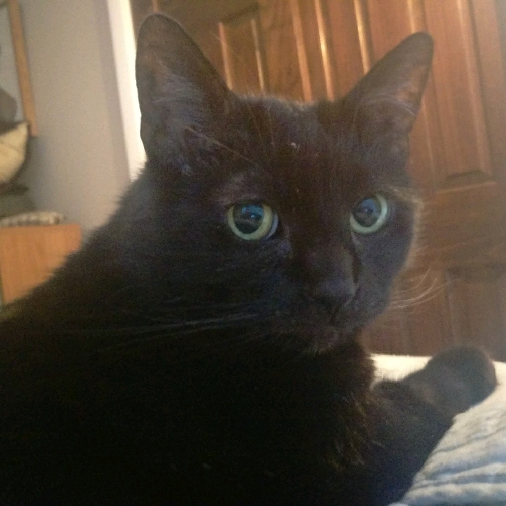 Meet your Posher, Belinda