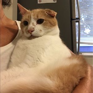 Meet your Posher, Linda