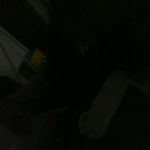 Meet your Posher, Toni