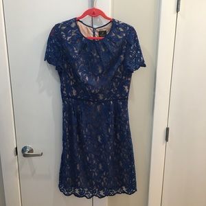 Adrianna Papell Blue Dress 12