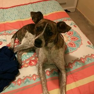 Meet your Posher, Alexis