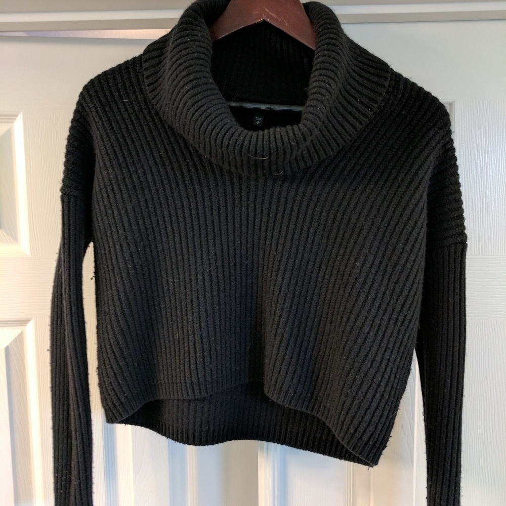 Express crop sweater.