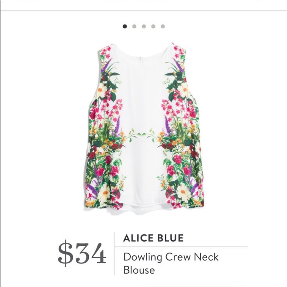 Alice Blue for Stitch Fix Dowling Crew Neck Blouse