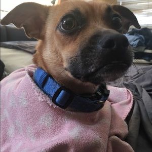 Meet your Posher, Hedda