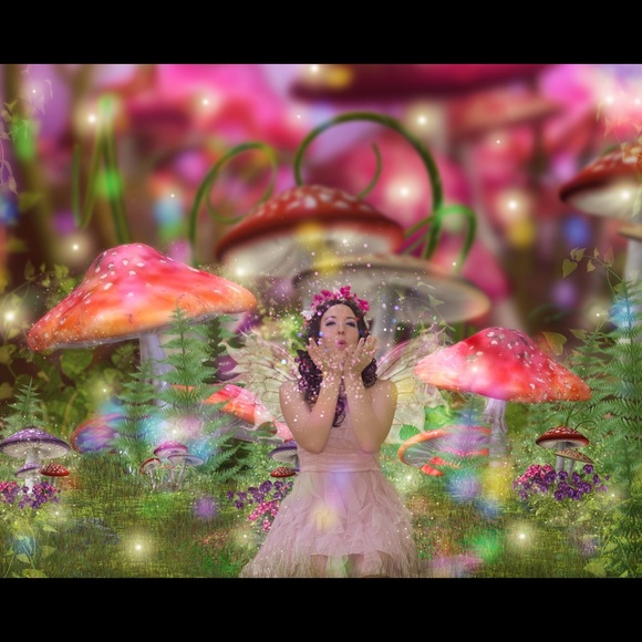 Meet your Posher, D - Picture 1 of 1