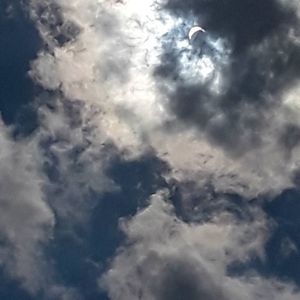 Meet your Posher, Sinico