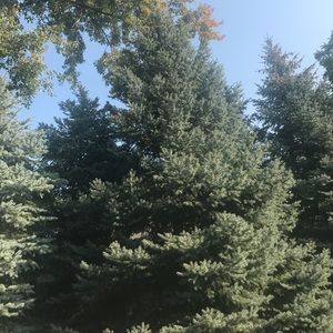 Meet your Posher, Hope