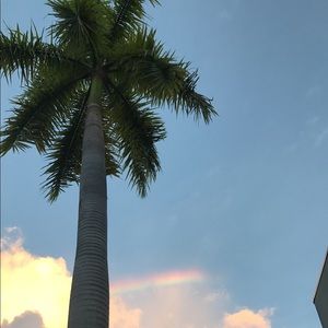 Meet your Posher, Zachary