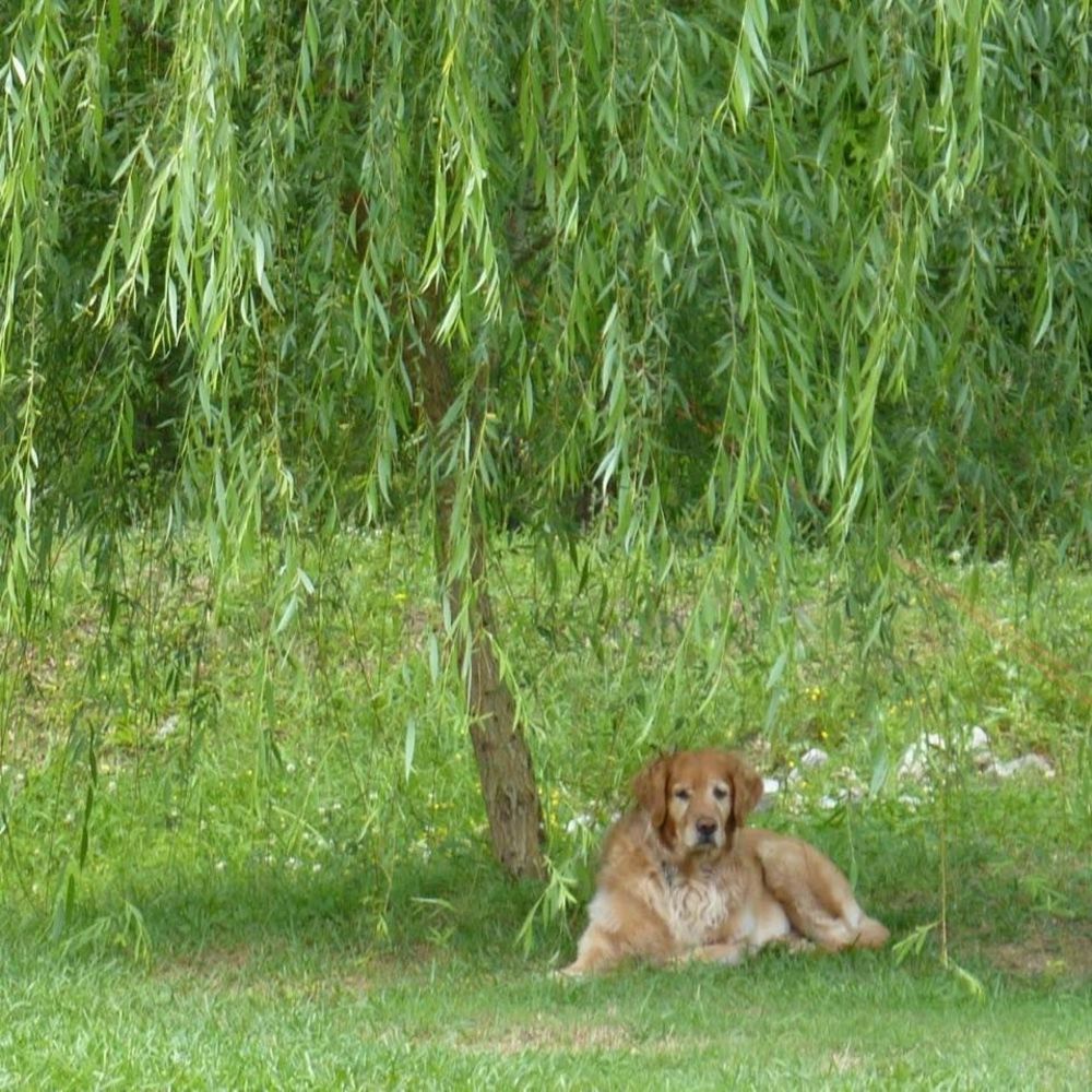 Meet your Posher, Karen