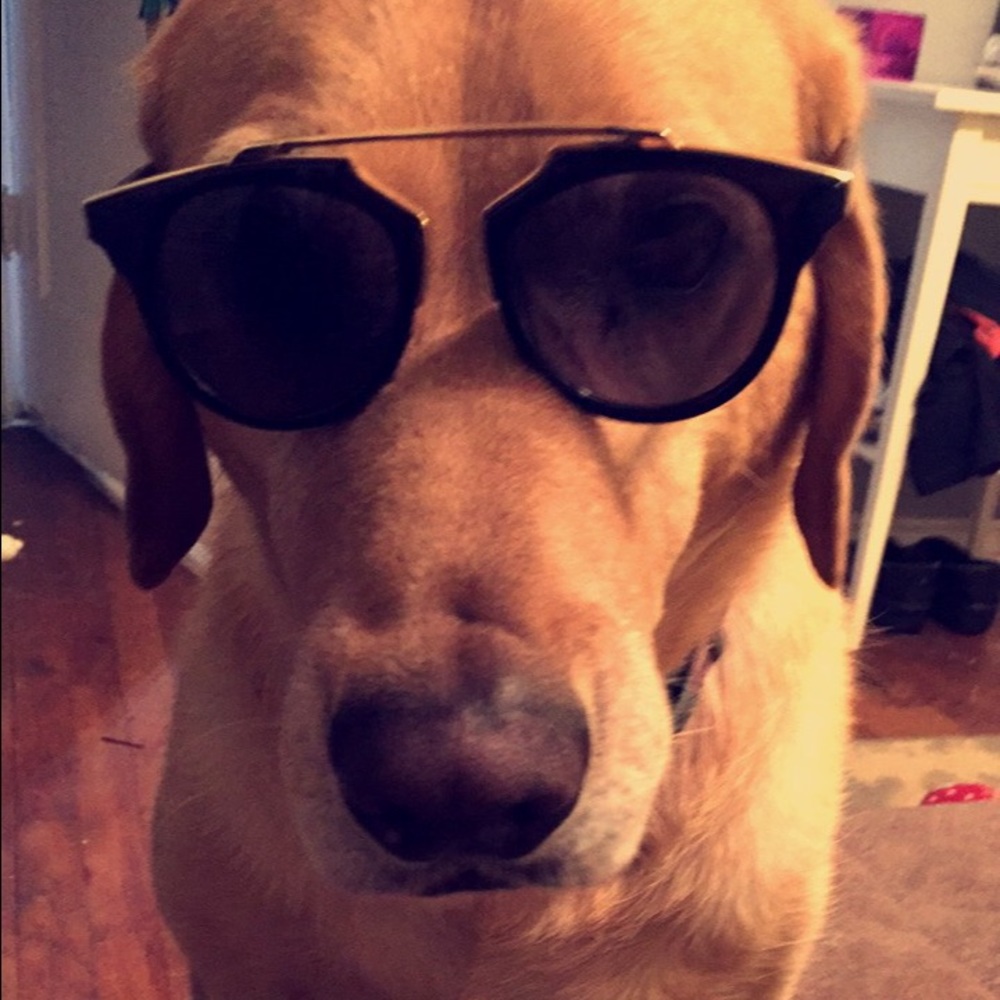 Meet your Posher, Stephanie