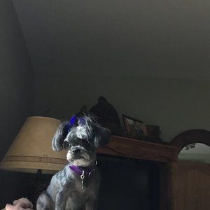 Meet your Posher, Nancy