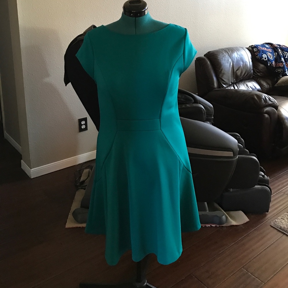 The Limited Porte Swing Dress. Worn once