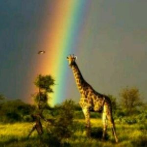 Meet your Posher, Dj