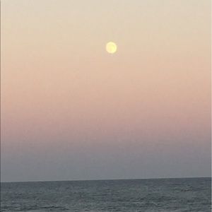 Meet your Posher, Aurora