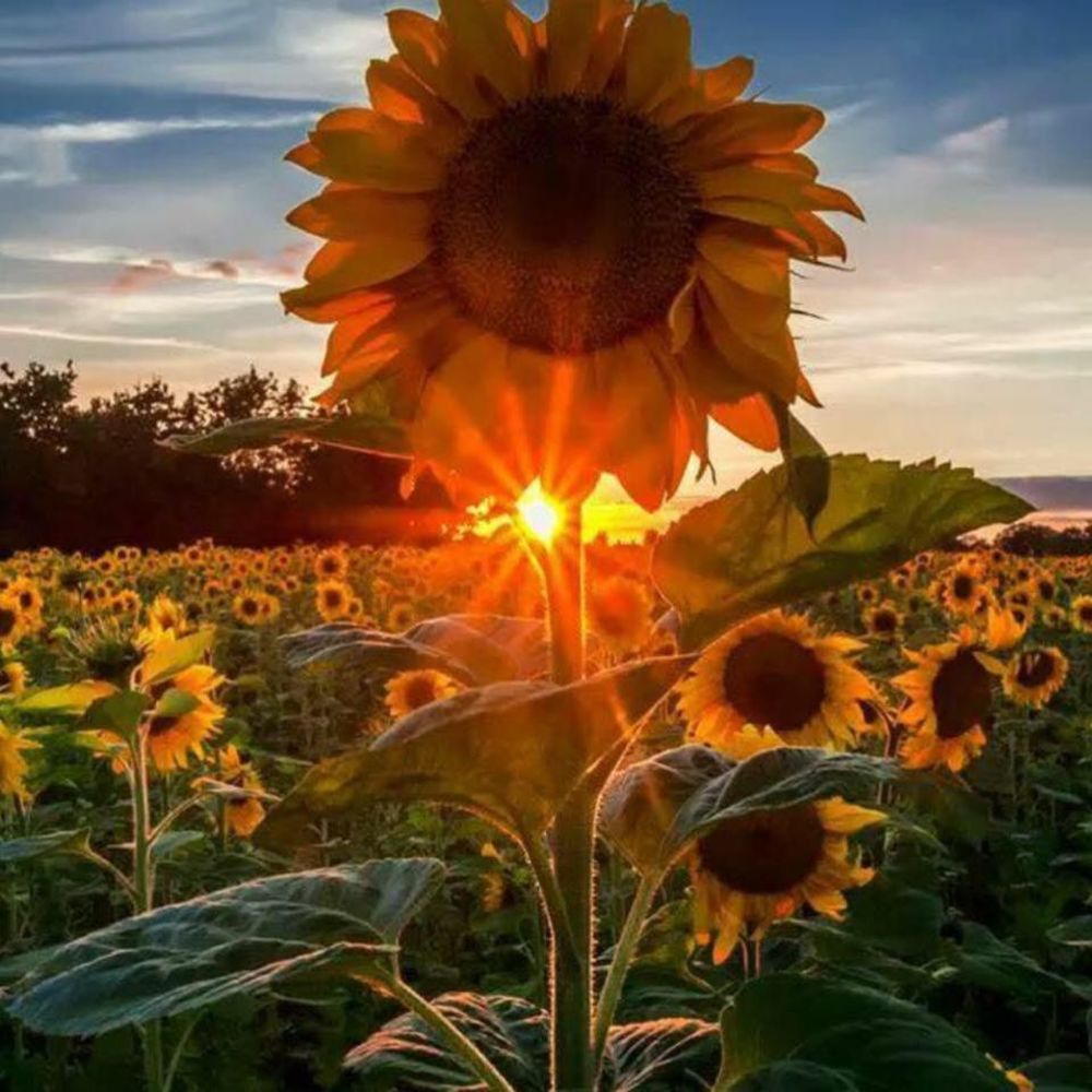 Meet your Posher, Gwen