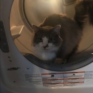 Meet your Posher, Collin